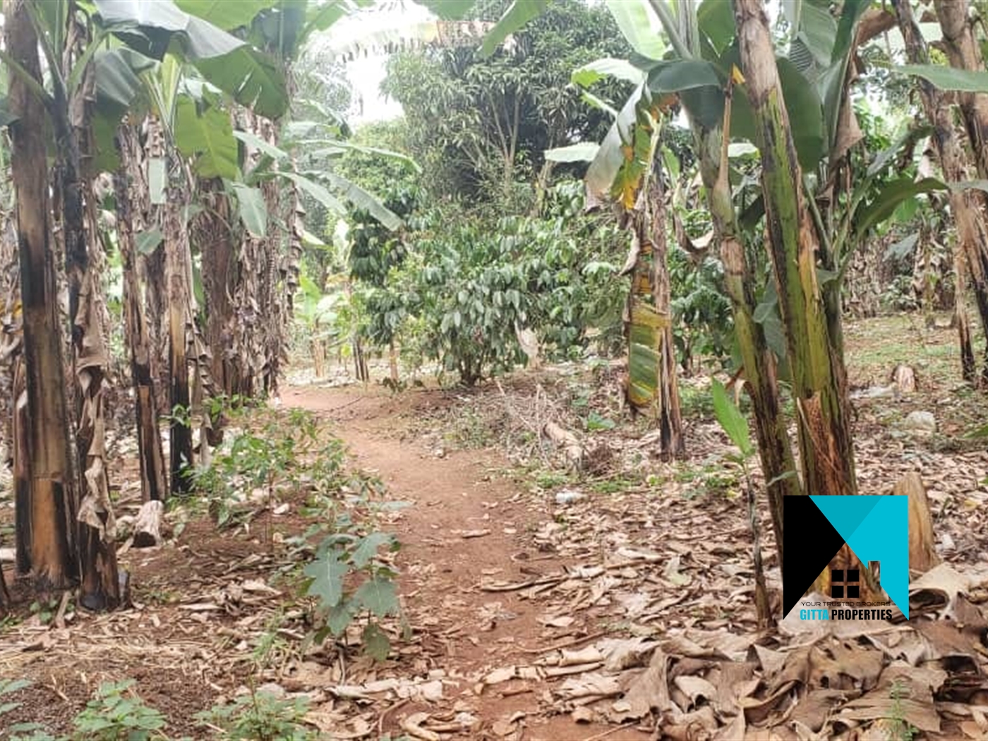 Agricultural Land for sale in KunguLuatale Wakiso