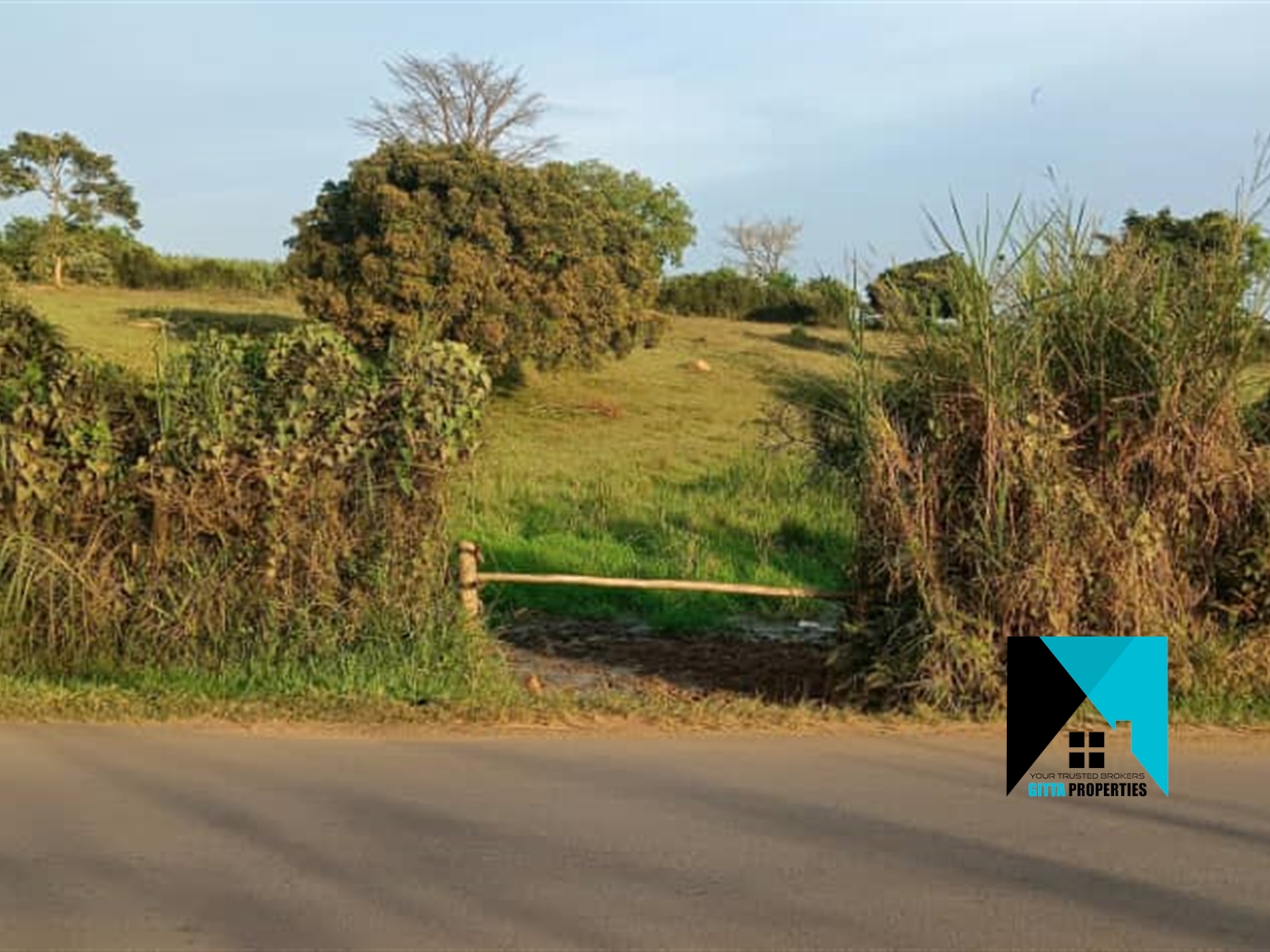 Agricultural Land for sale in Migadde Wakiso