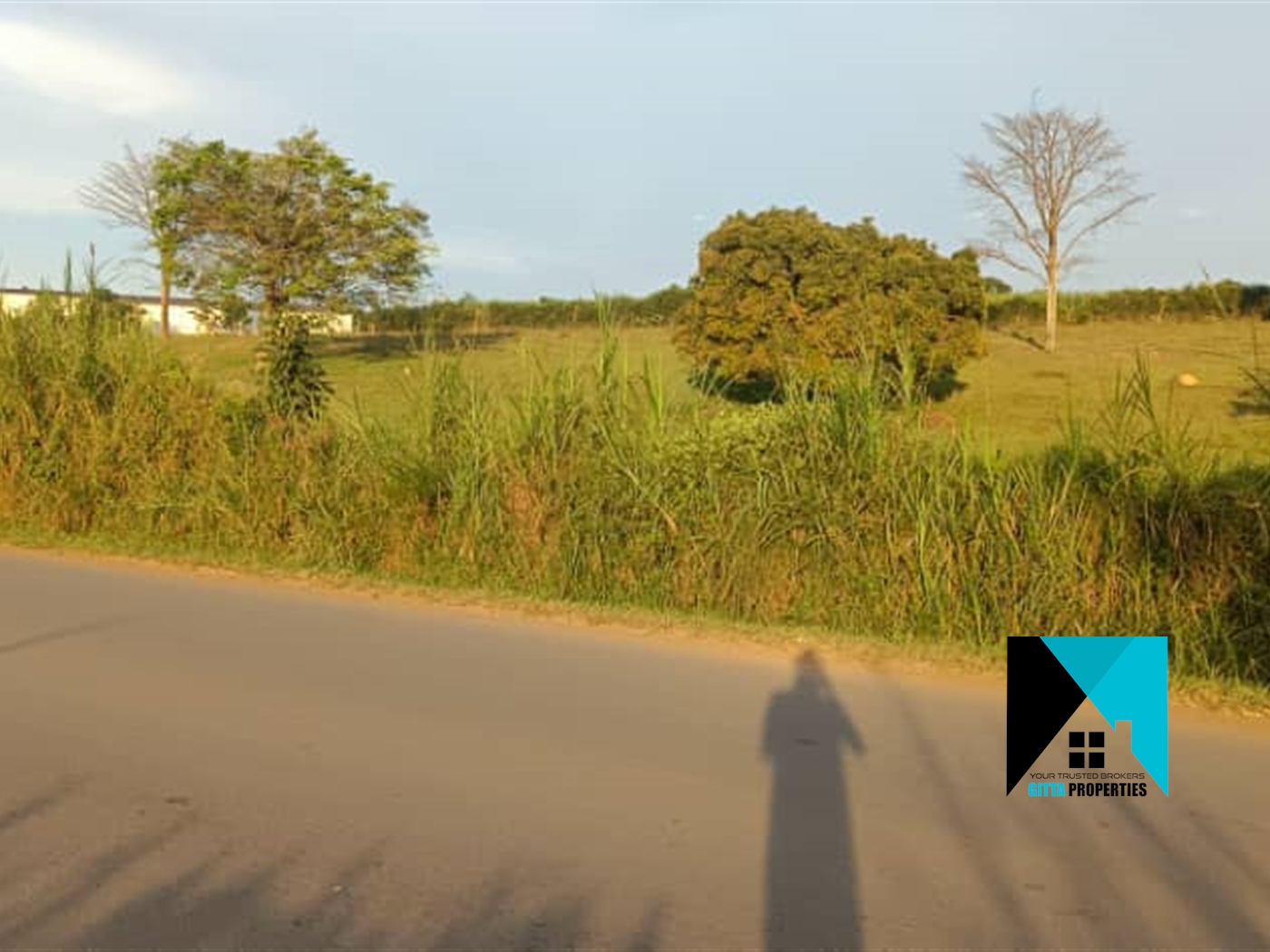 Agricultural Land for sale in Migadde Wakiso