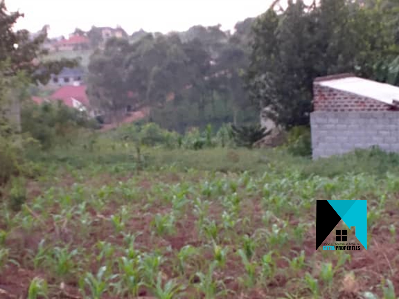 Residential Land for sale in Sonde Mukono