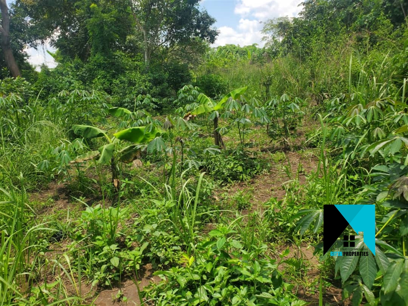 Residential Land for sale in Kikyuusa Luweero