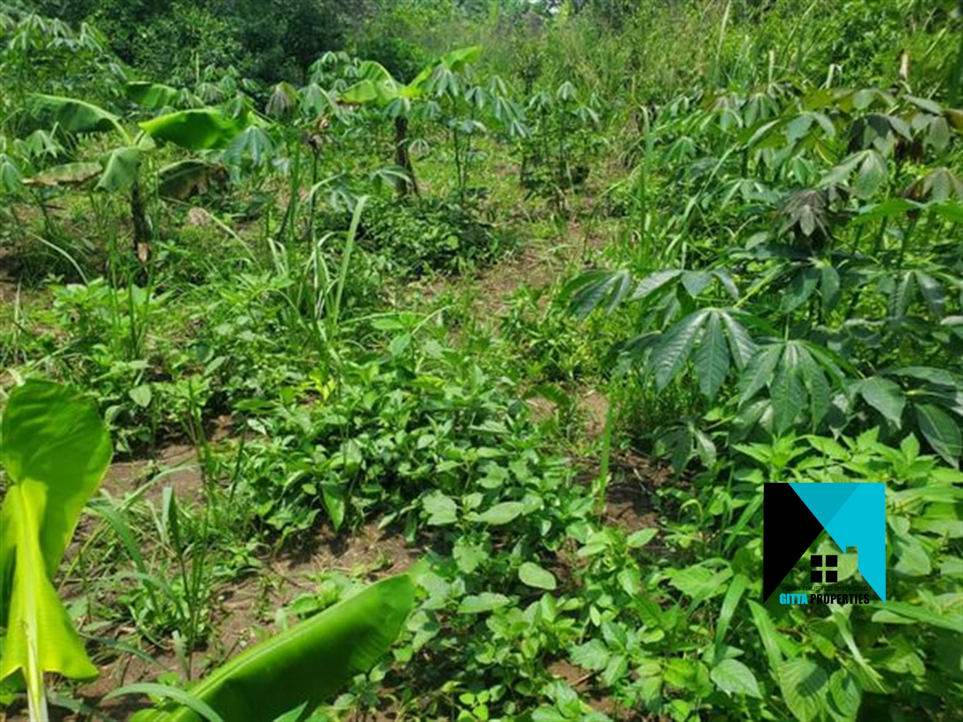 Residential Land for sale in Kikyuusa Luweero