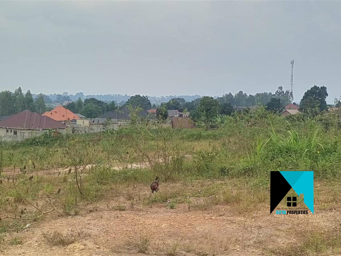 Residential Land for sale in Gitta Wakiso