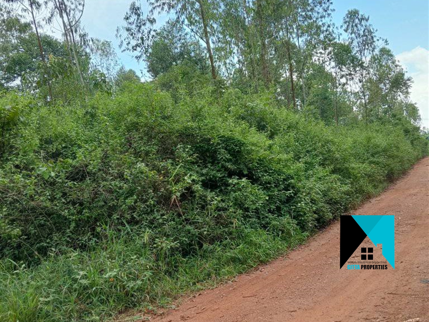 Agricultural Land for sale in Lukiizi Luweero