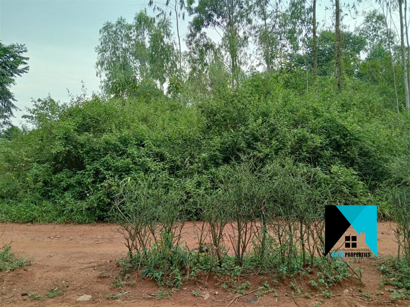 Agricultural Land for sale in Lukiizi Luweero