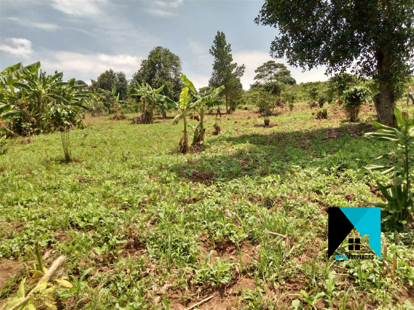 Agricultural Land for sale in Bulela Mityana