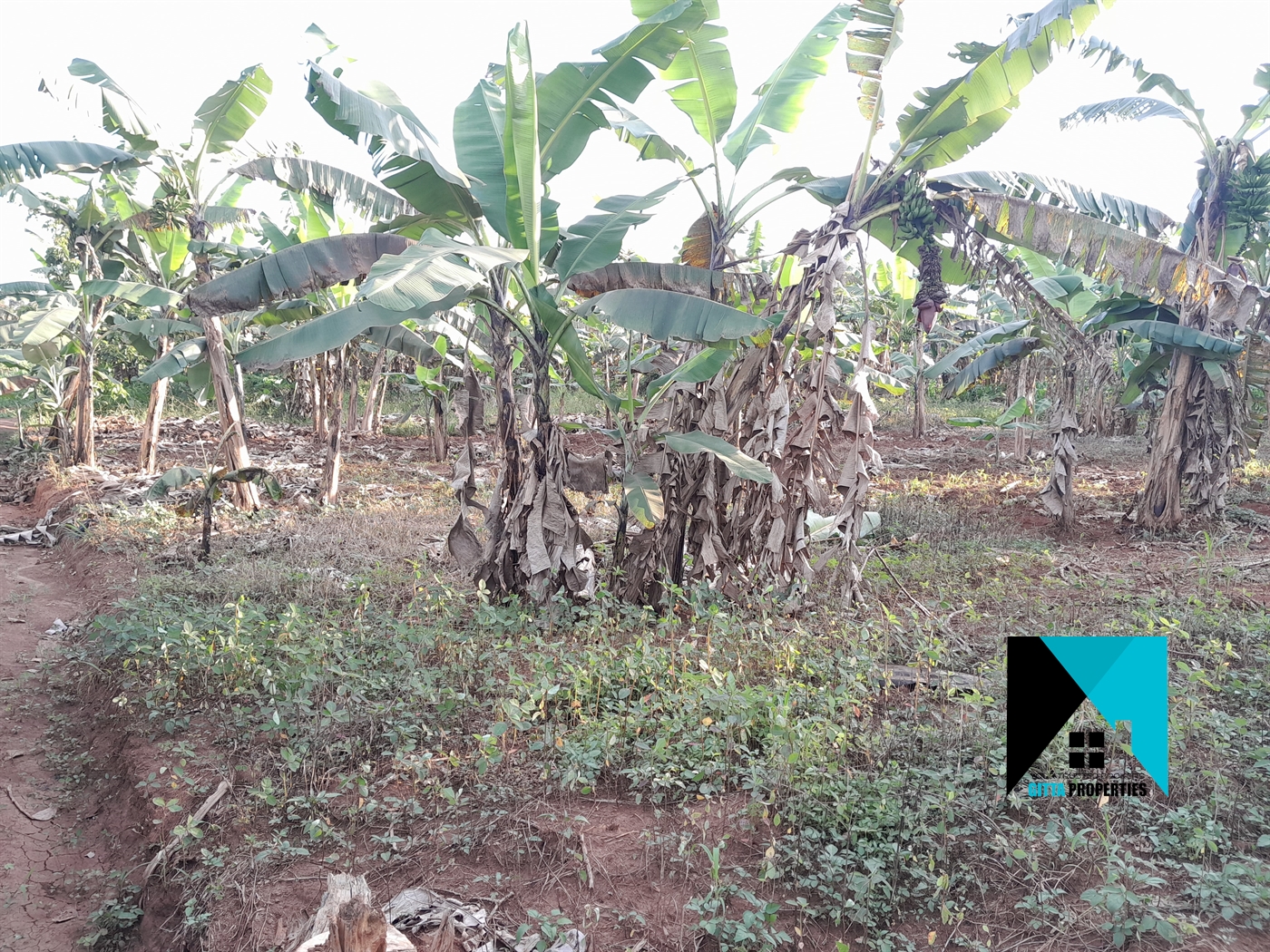 Residential Land for sale in Kira Wakiso