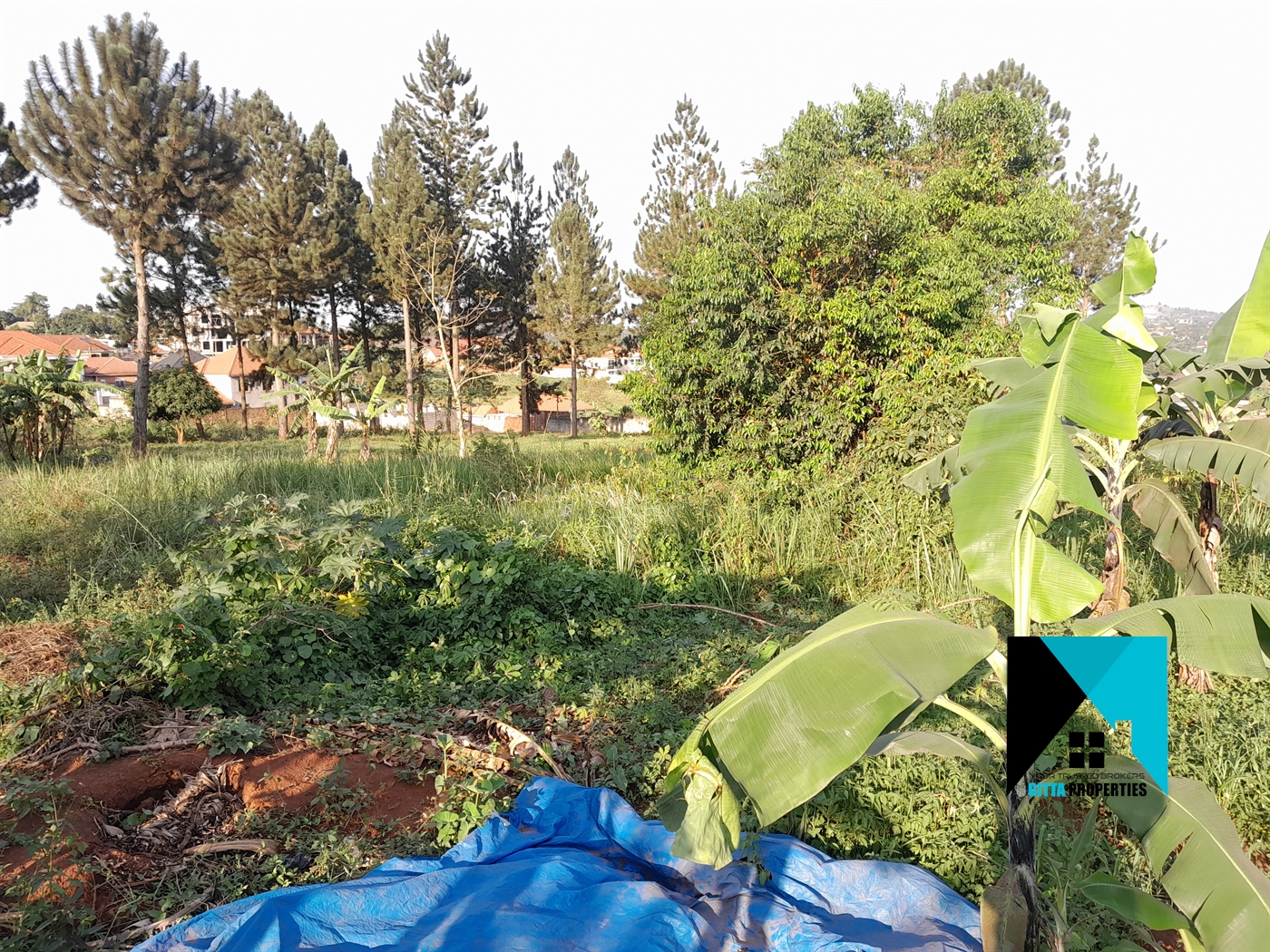 Residential Land for sale in Kira Wakiso