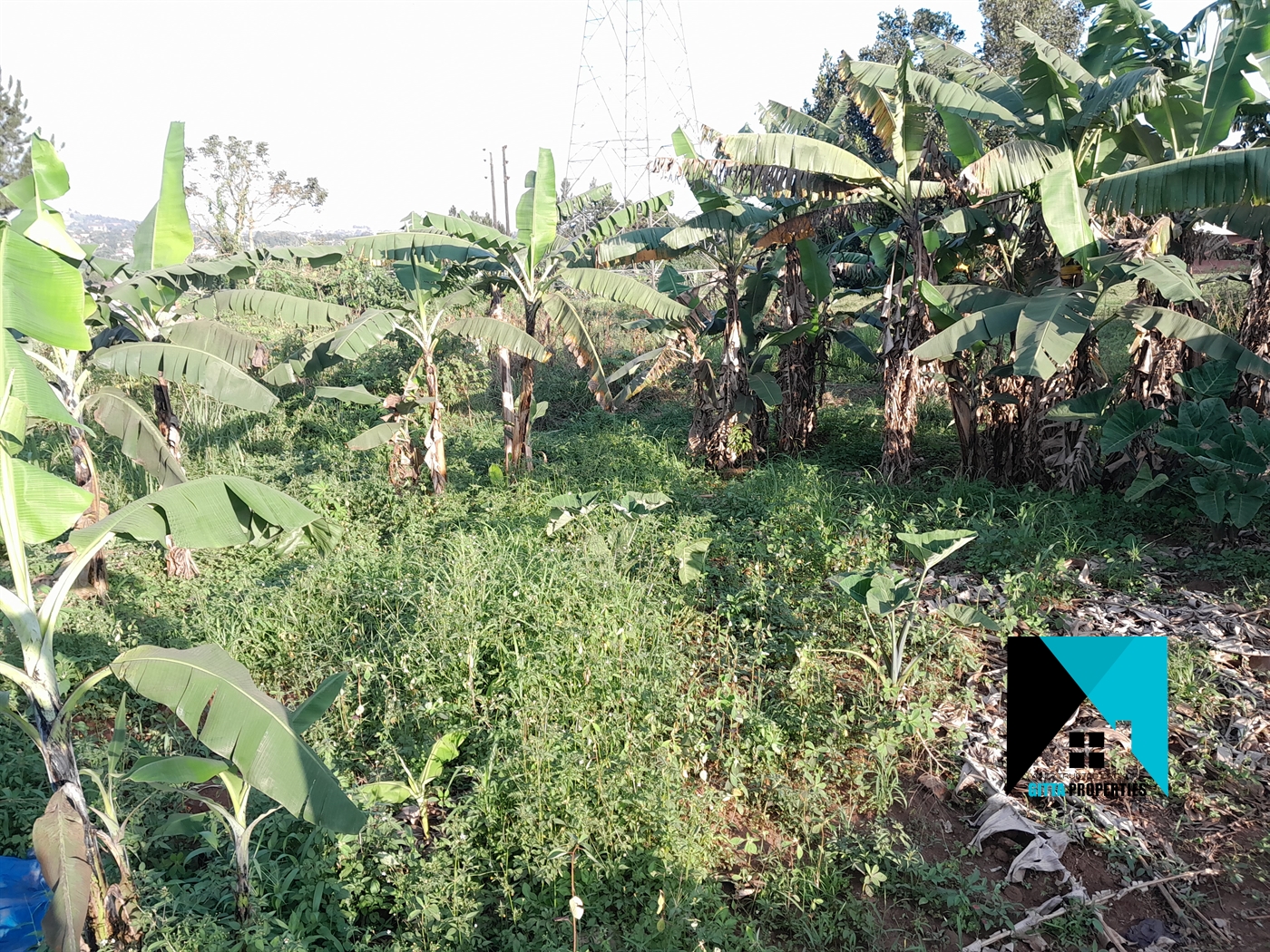 Residential Land for sale in Kira Wakiso