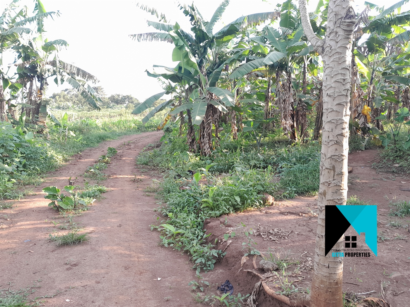 Residential Land for sale in Kira Wakiso