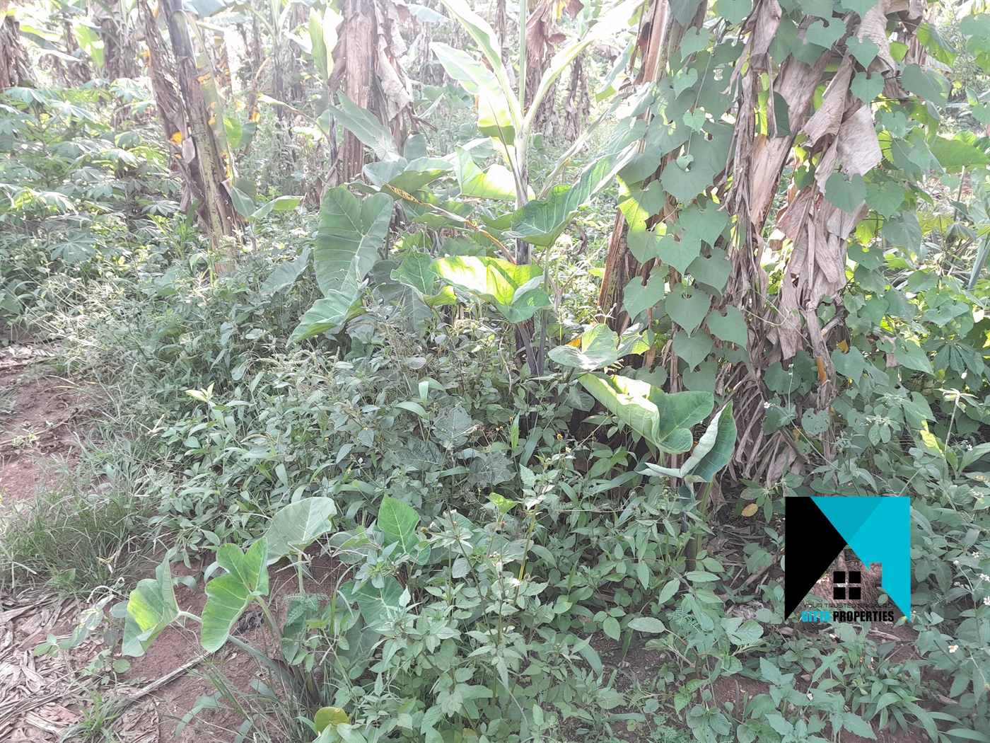 Residential Land for sale in Kira Wakiso