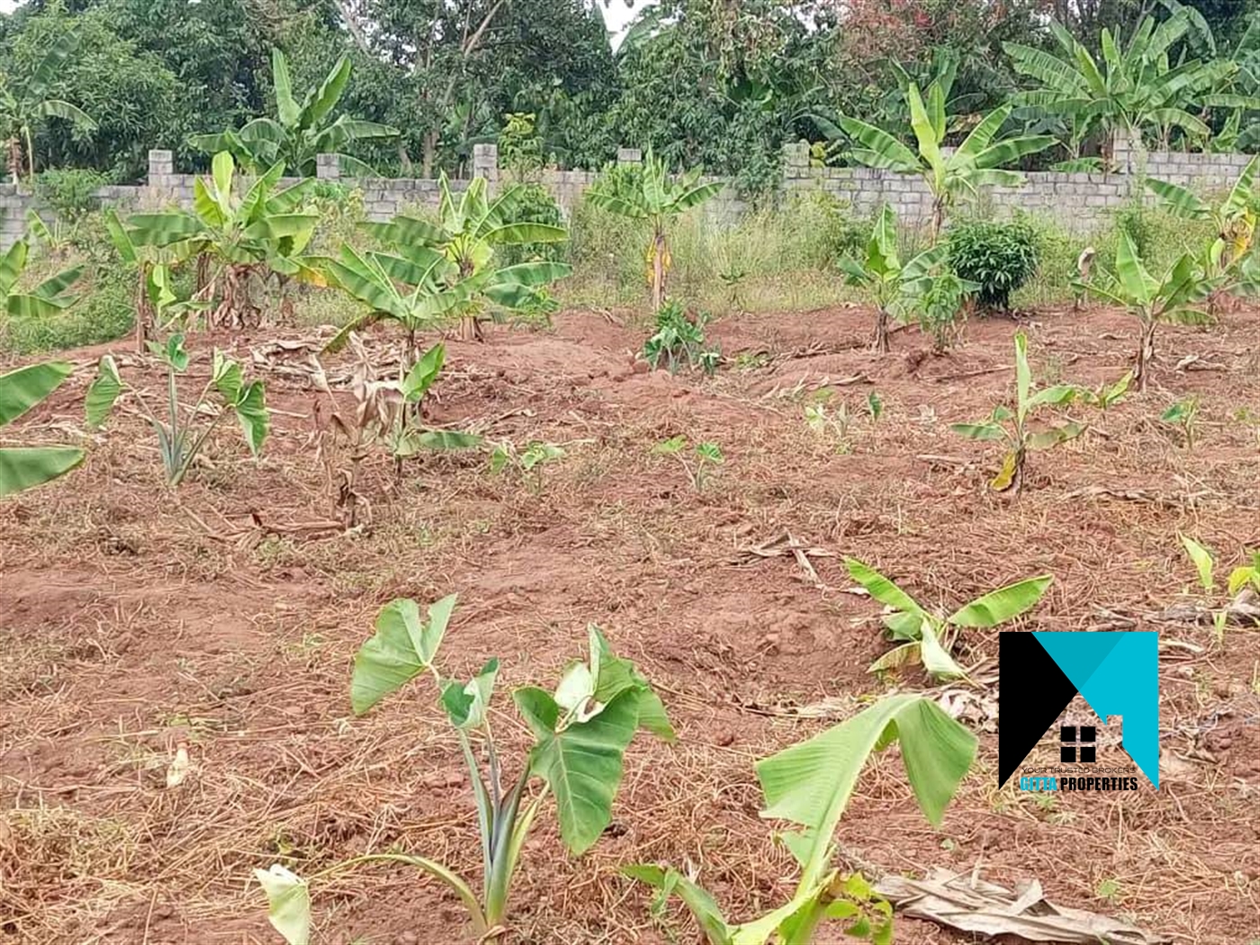 Residential Land for sale in Kigo Wakiso