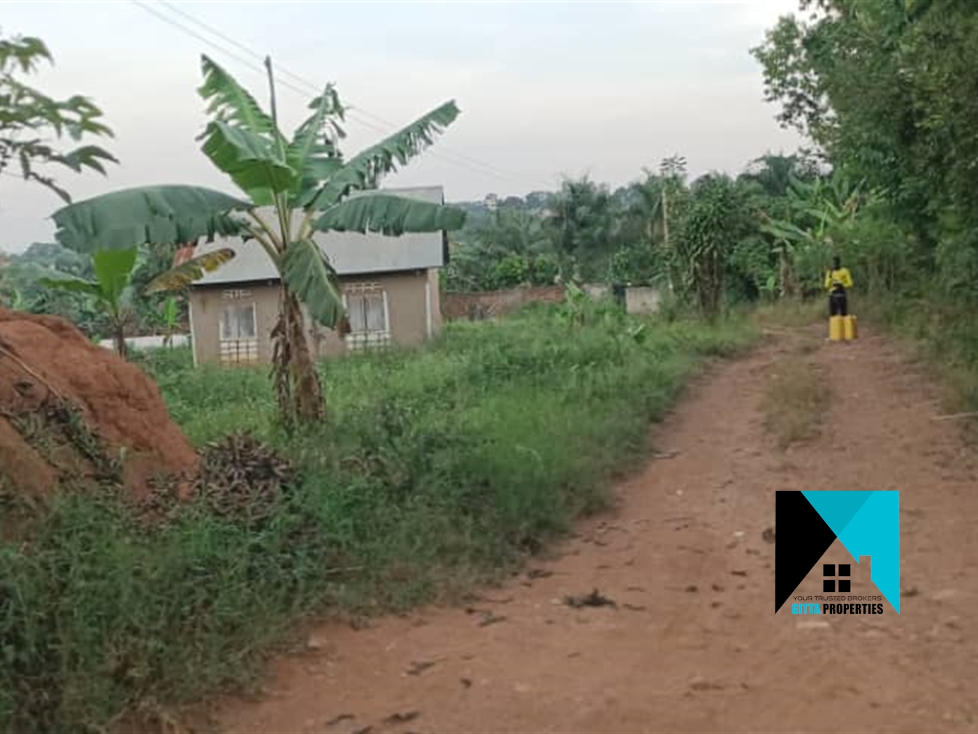 Residential Land for sale in Busukuma Wakiso