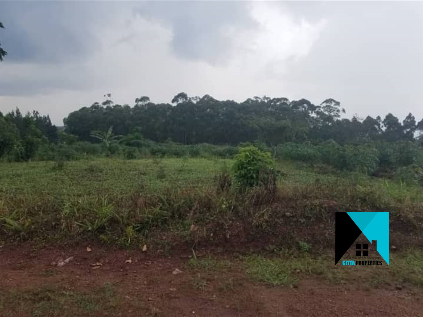 Residential Land for sale in Kiwenda Wakiso