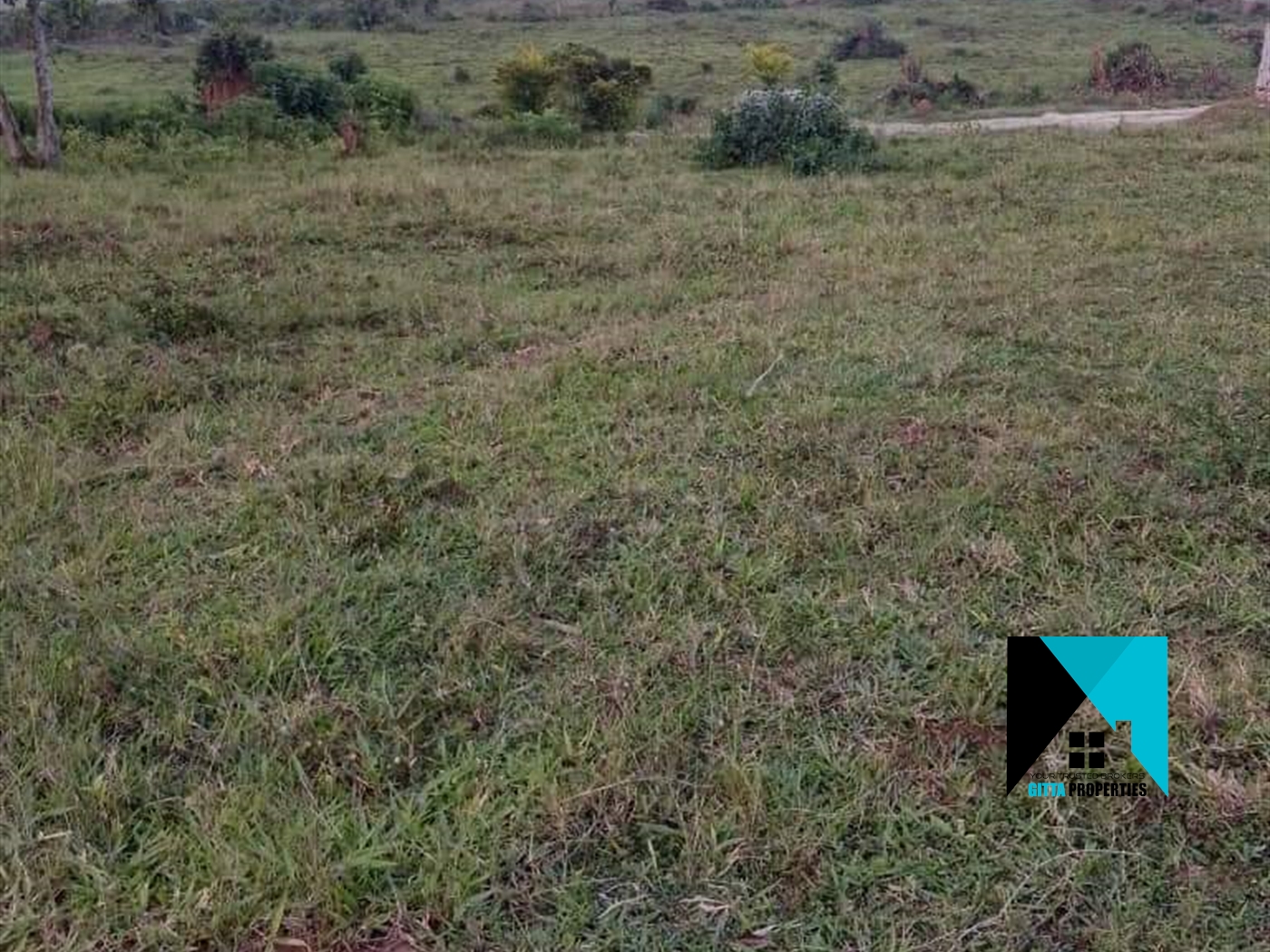 Residential Land for sale in Busukuma Wakiso