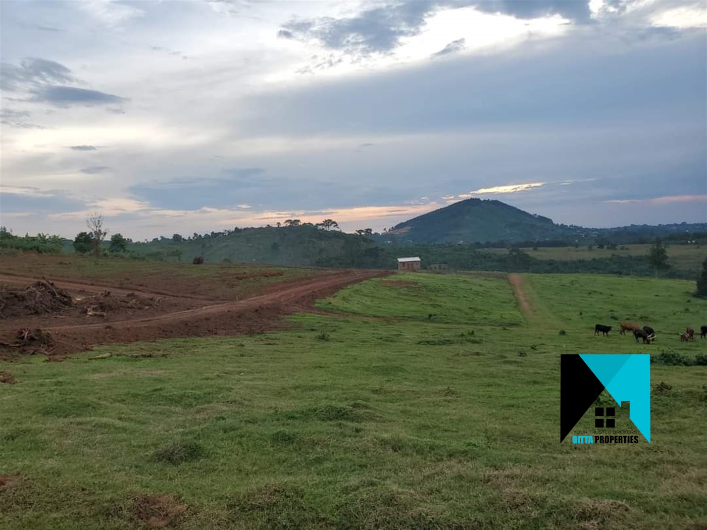 Residential Land for sale in Tongolo Wakiso