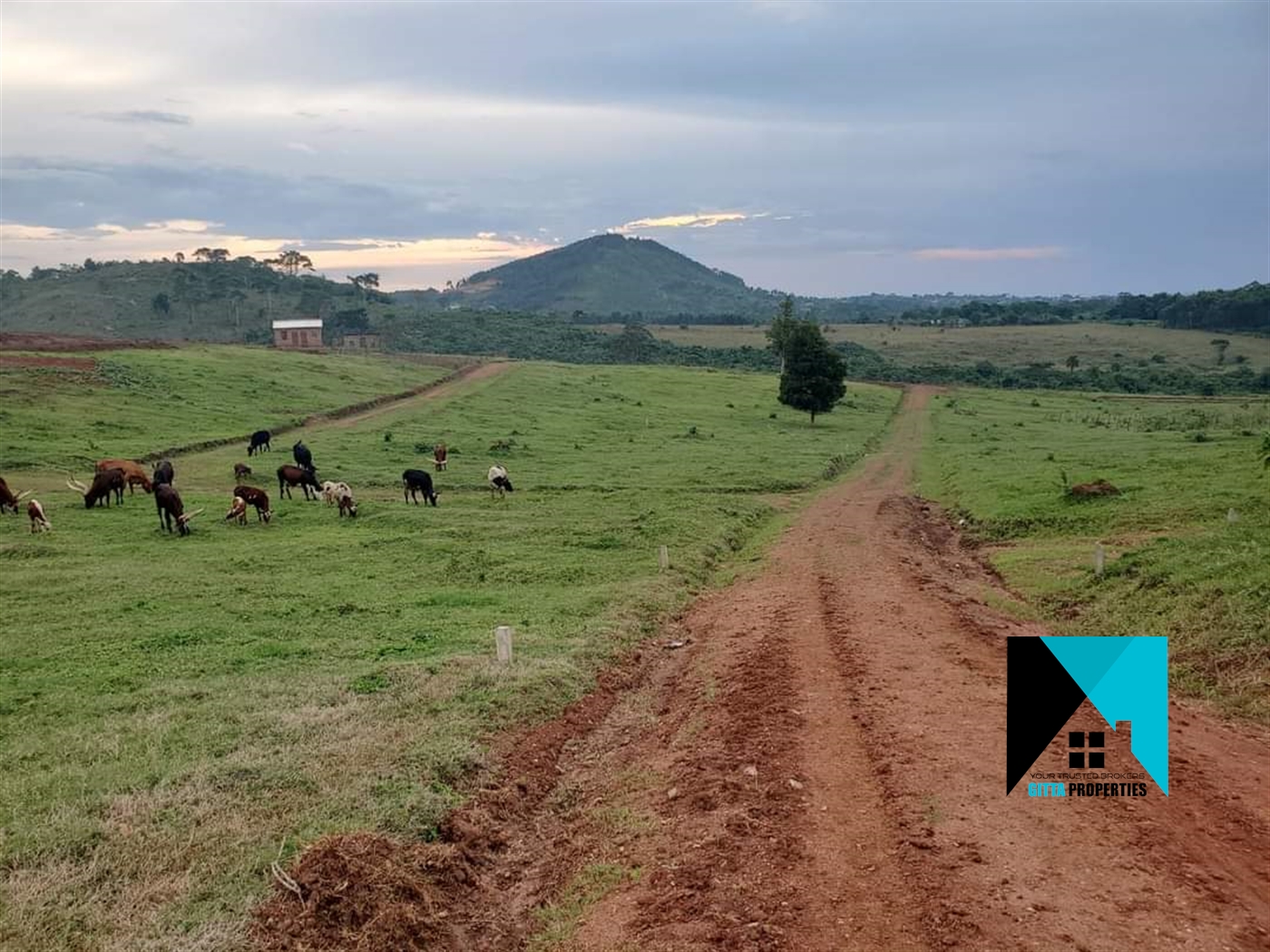 Residential Land for sale in Tongolo Wakiso