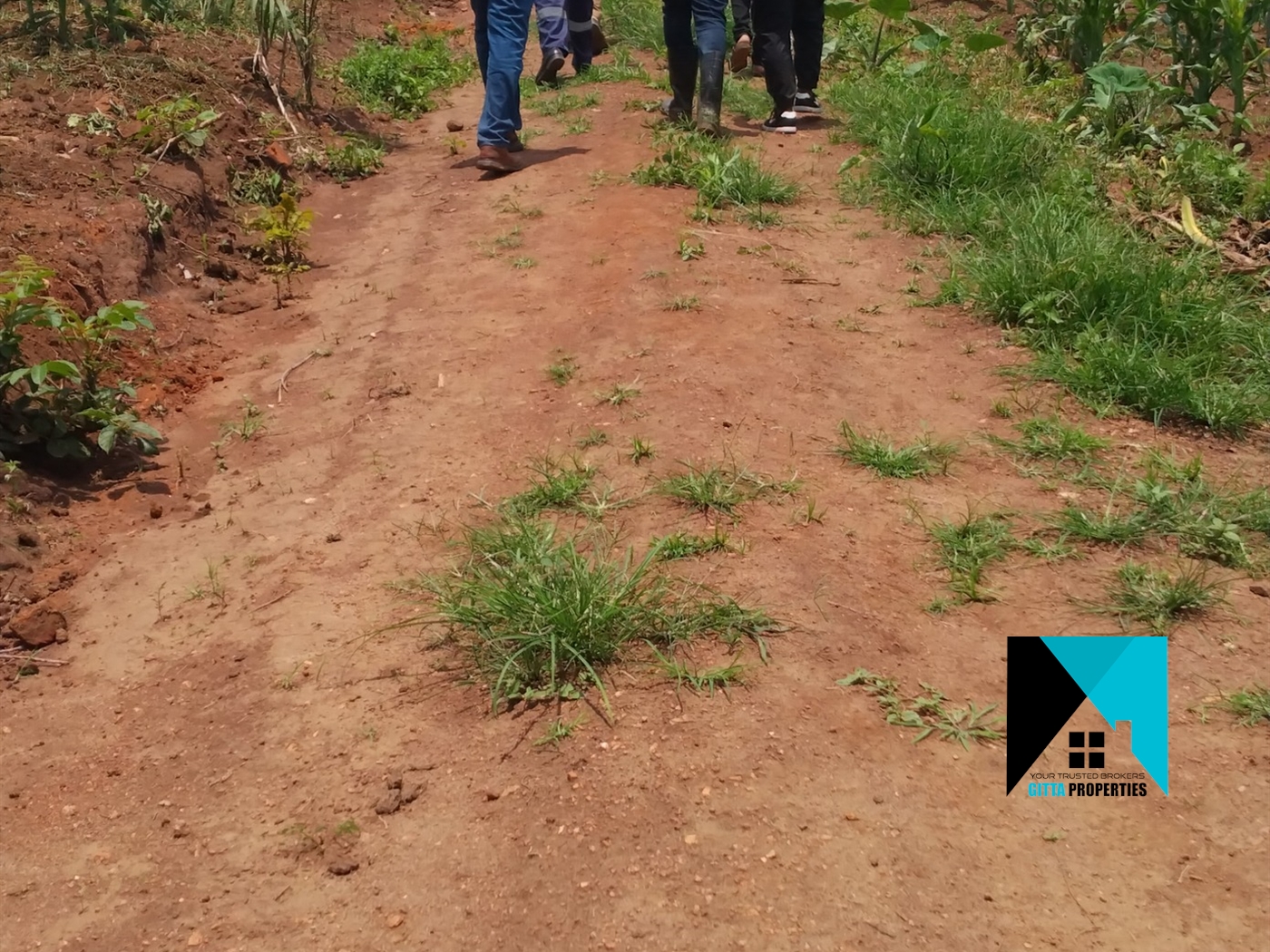 Residential Land for sale in Kaluule Wakiso