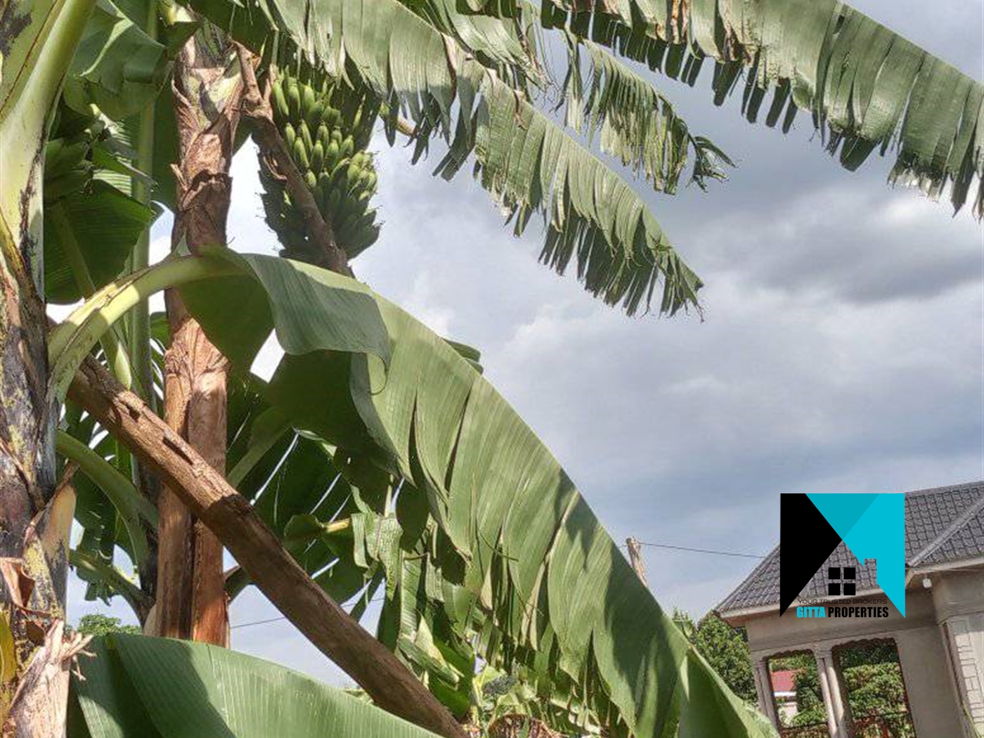 Bungalow for sale in Bombo Wakiso