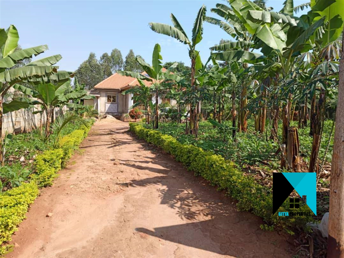 Bungalow for sale in Nkoowe Wakiso