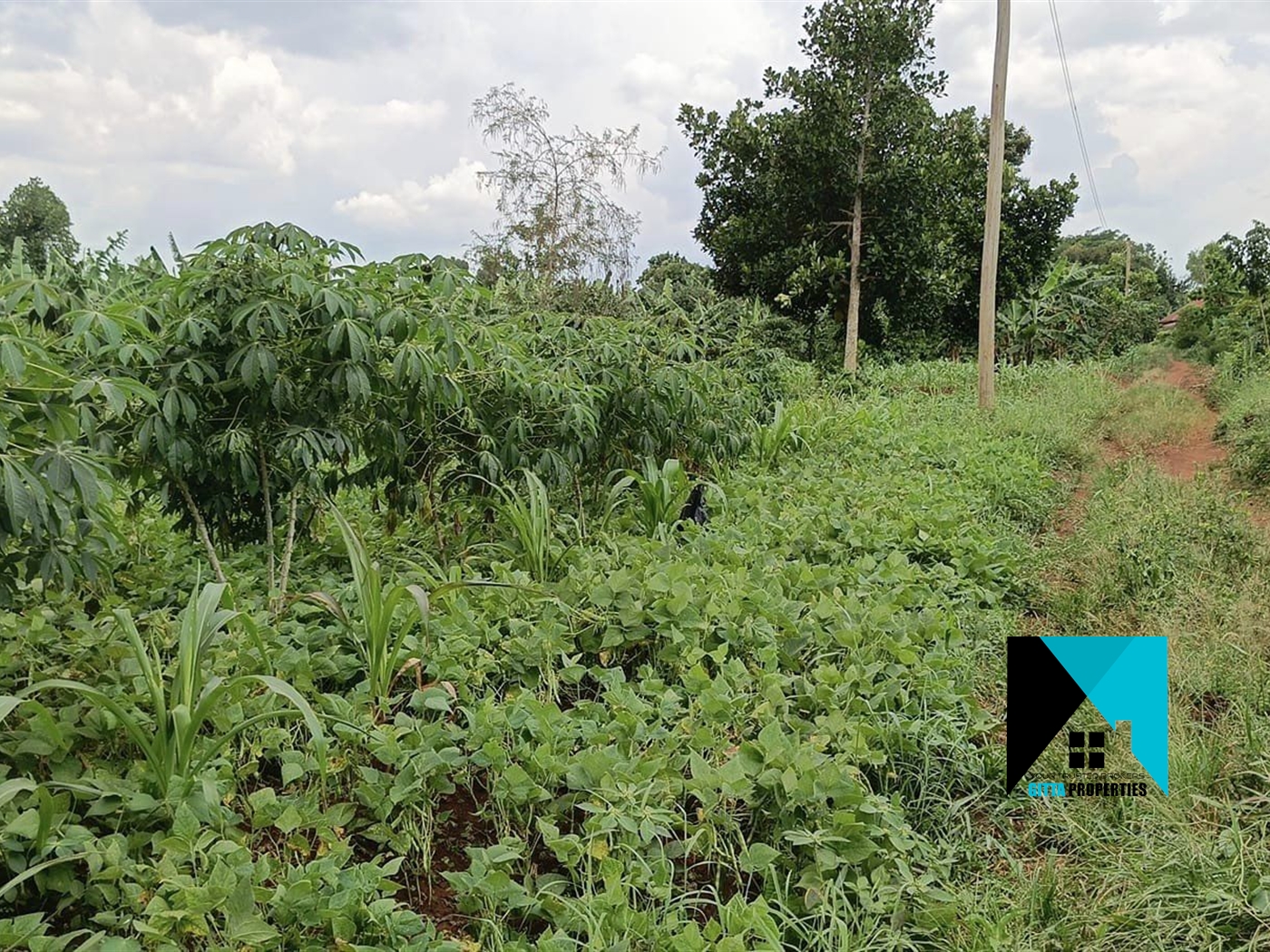 Residential Land for sale in Busiika Luweero