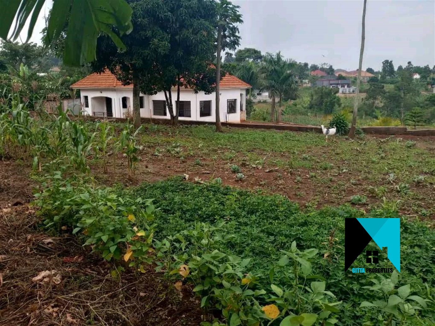 Residential Land for sale in Manyangwa Wakiso