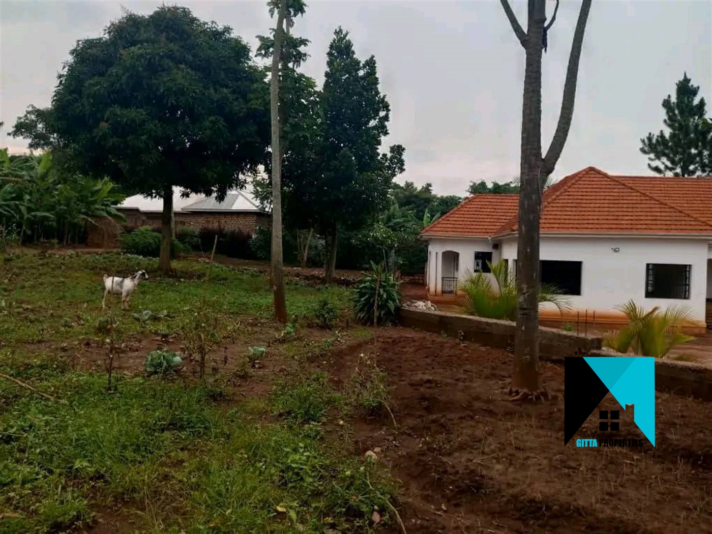 Residential Land for sale in Manyangwa Wakiso