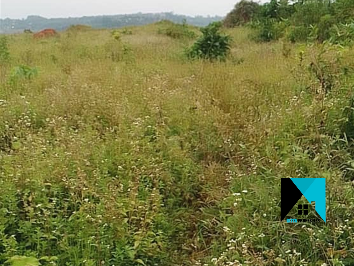 Agricultural Land for sale in Buyege Wakiso