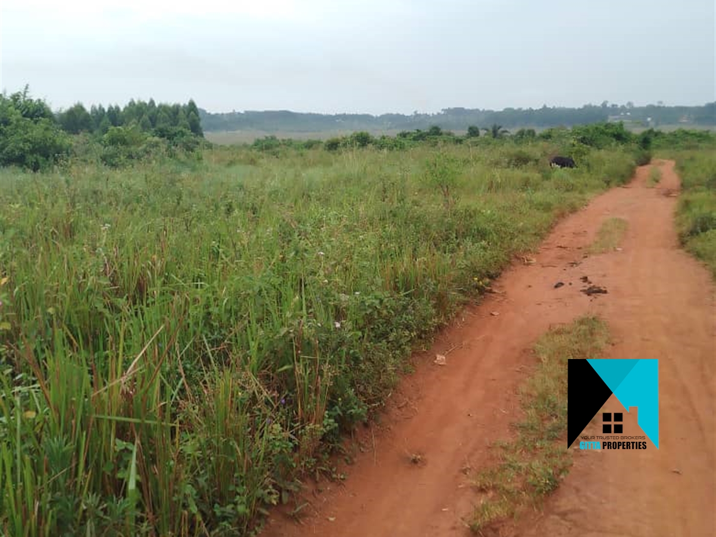 Agricultural Land for sale in Buyege Wakiso