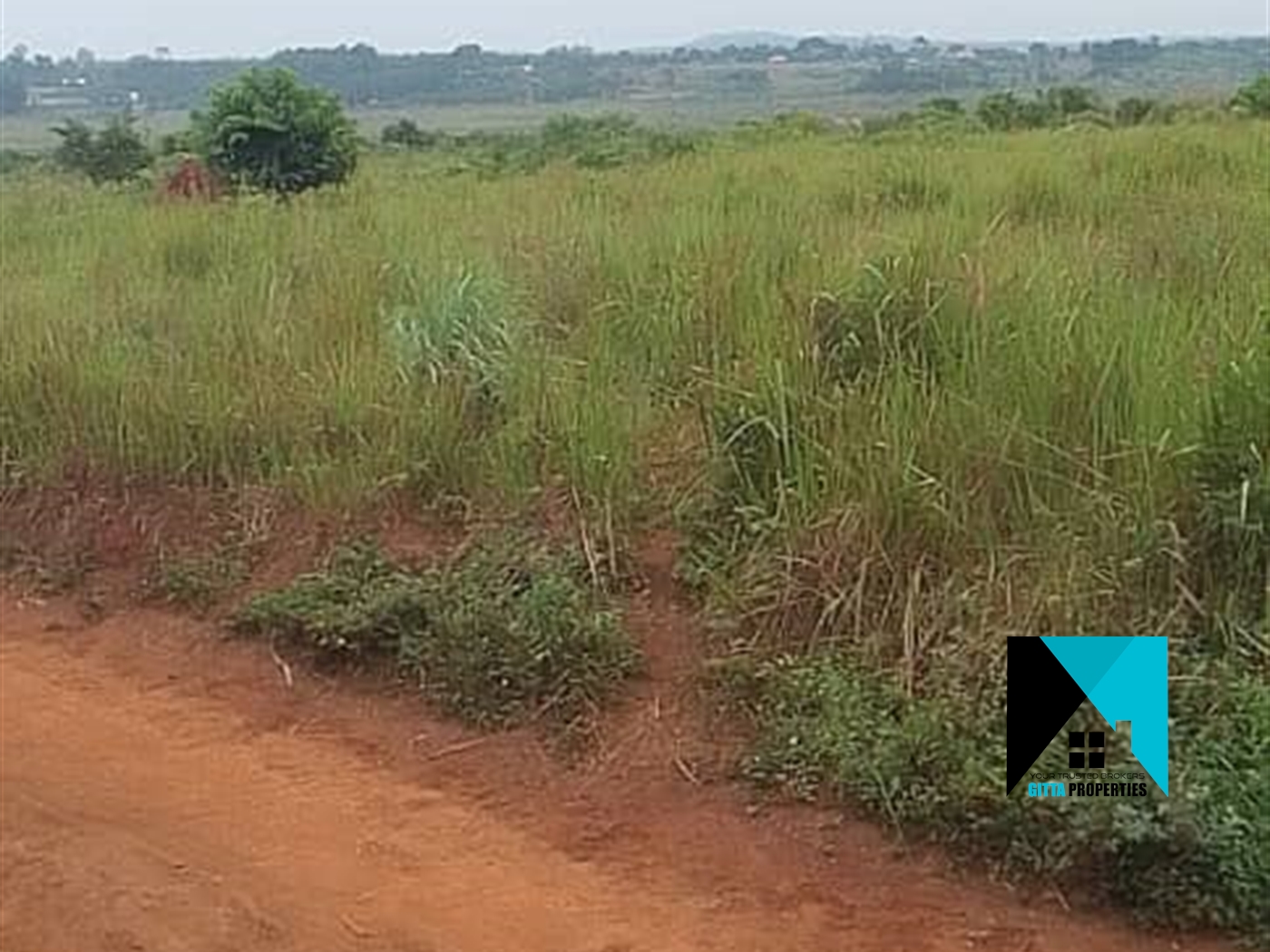 Agricultural Land for sale in Buyege Wakiso