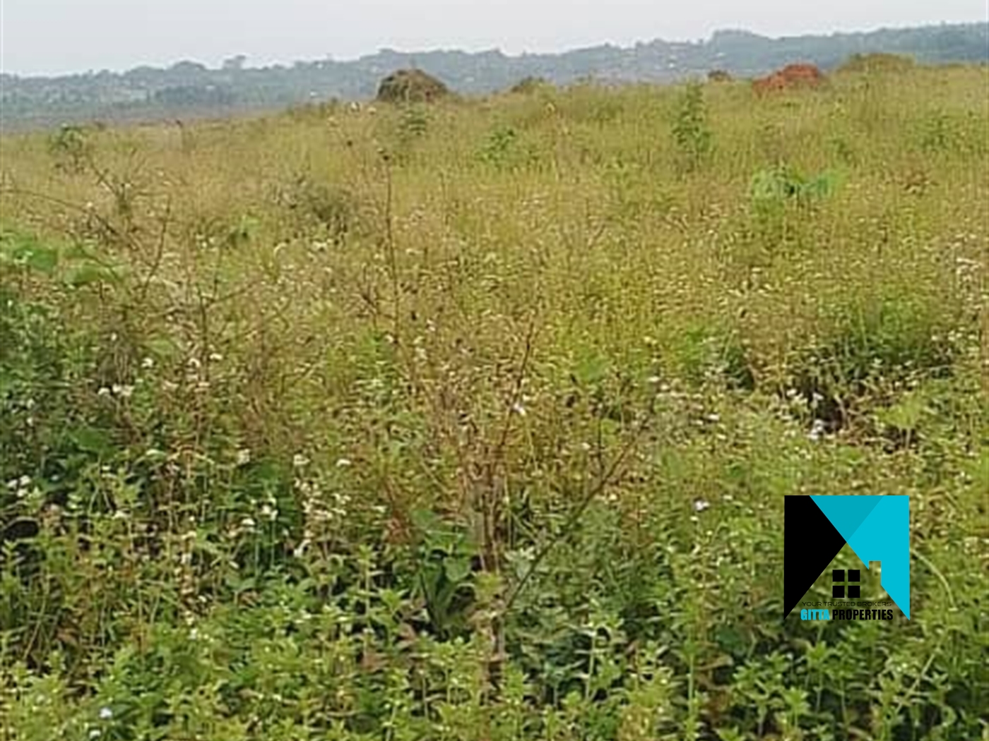 Agricultural Land for sale in Buyege Wakiso