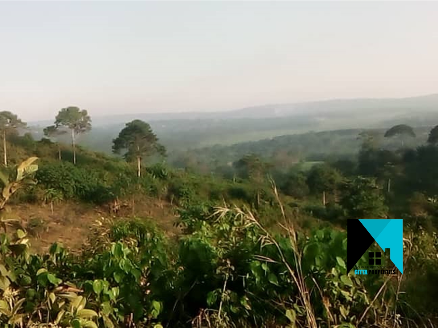 Agricultural Land for sale in Nkokonjeru Mukono