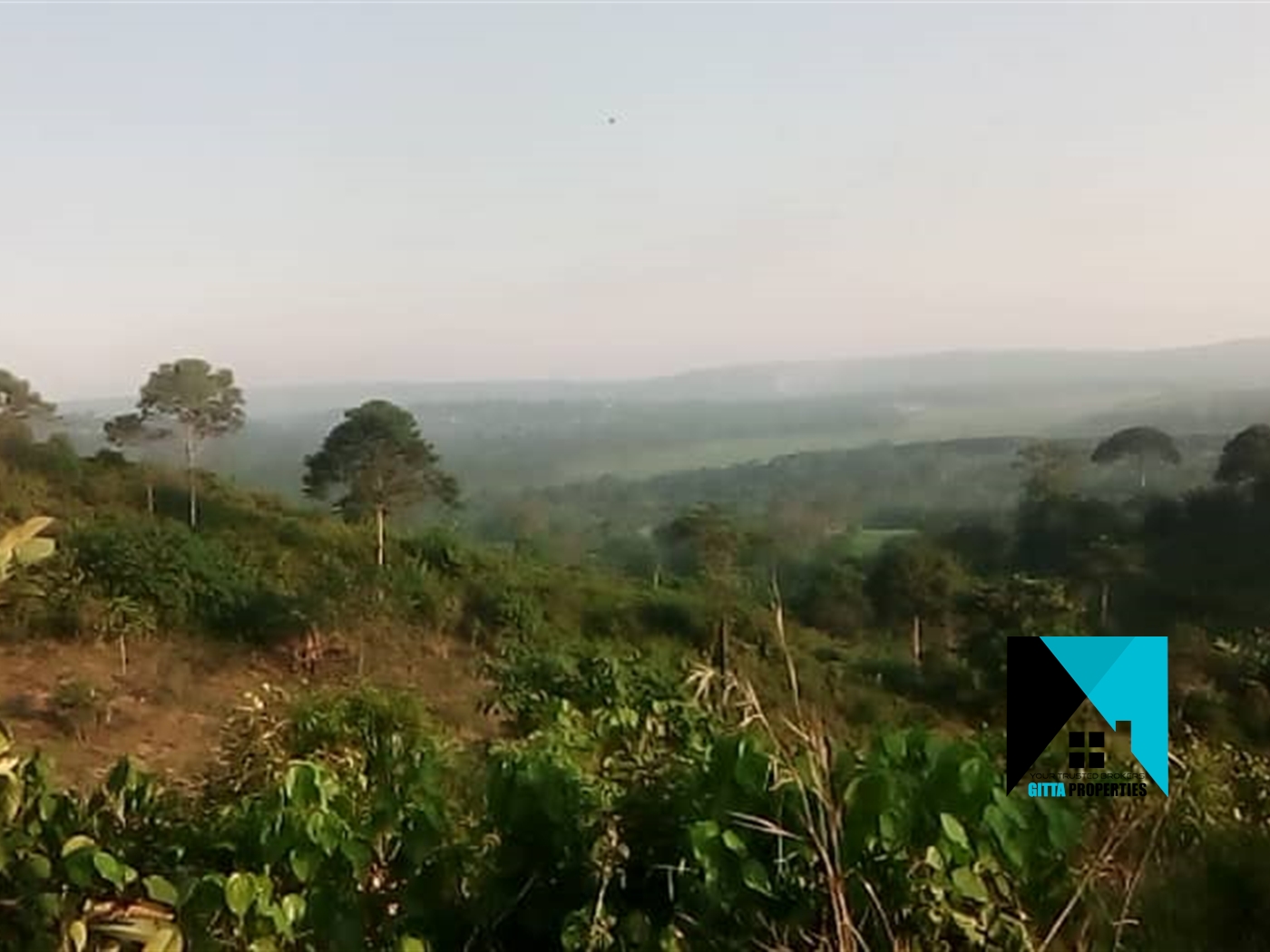 Agricultural Land for sale in Nkokonjeru Mukono