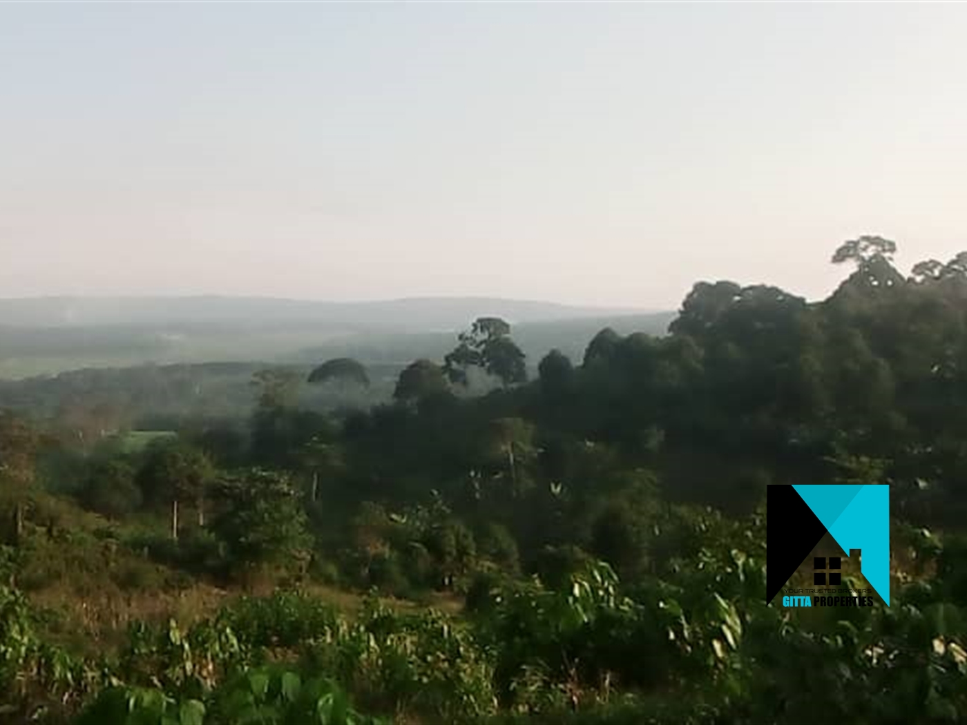 Agricultural Land for sale in Nkokonjeru Mukono