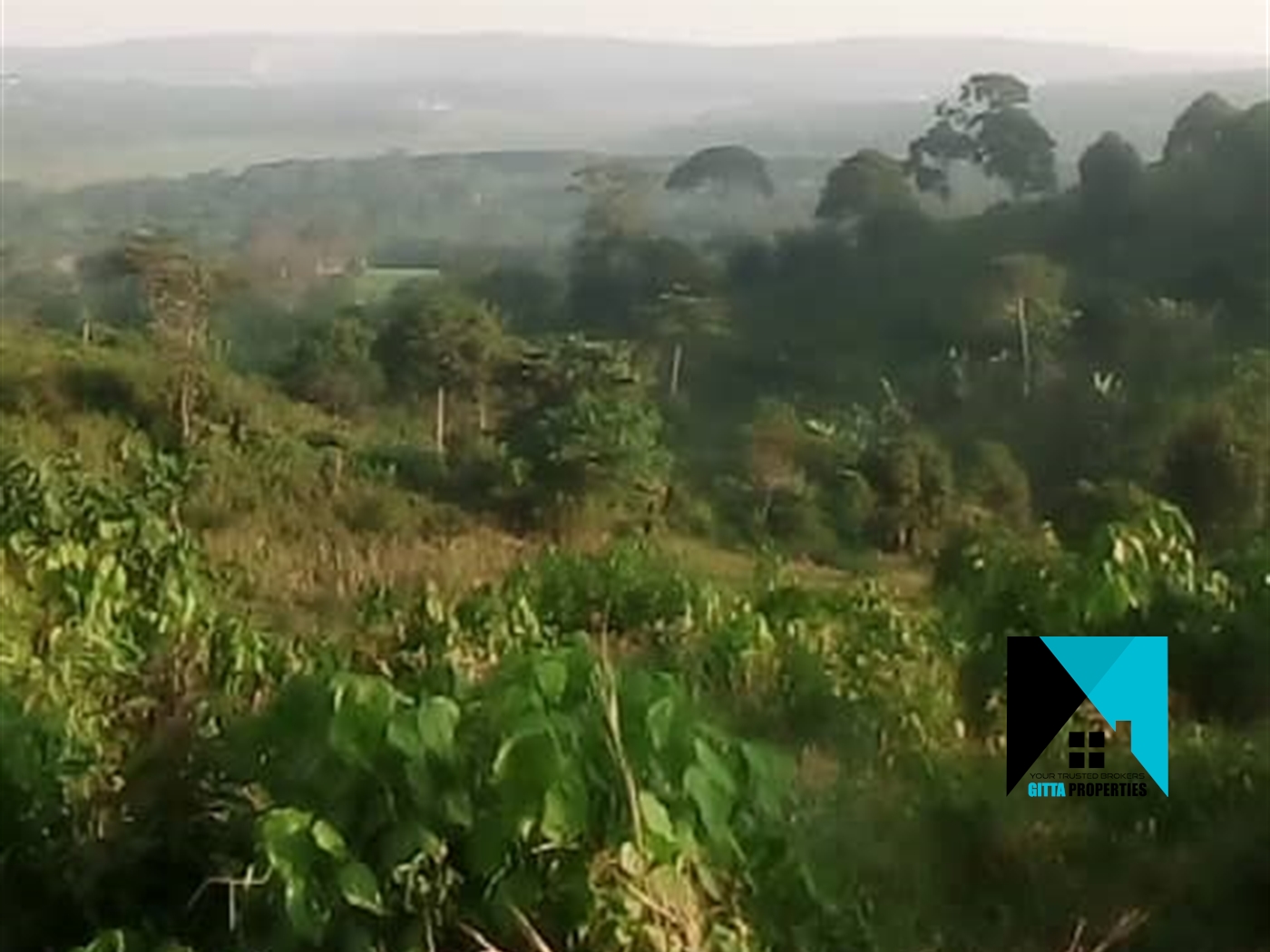 Agricultural Land for sale in Nkokonjeru Mukono