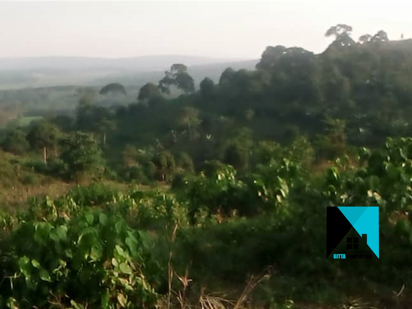 Agricultural Land for sale in Nkokonjeru Mukono