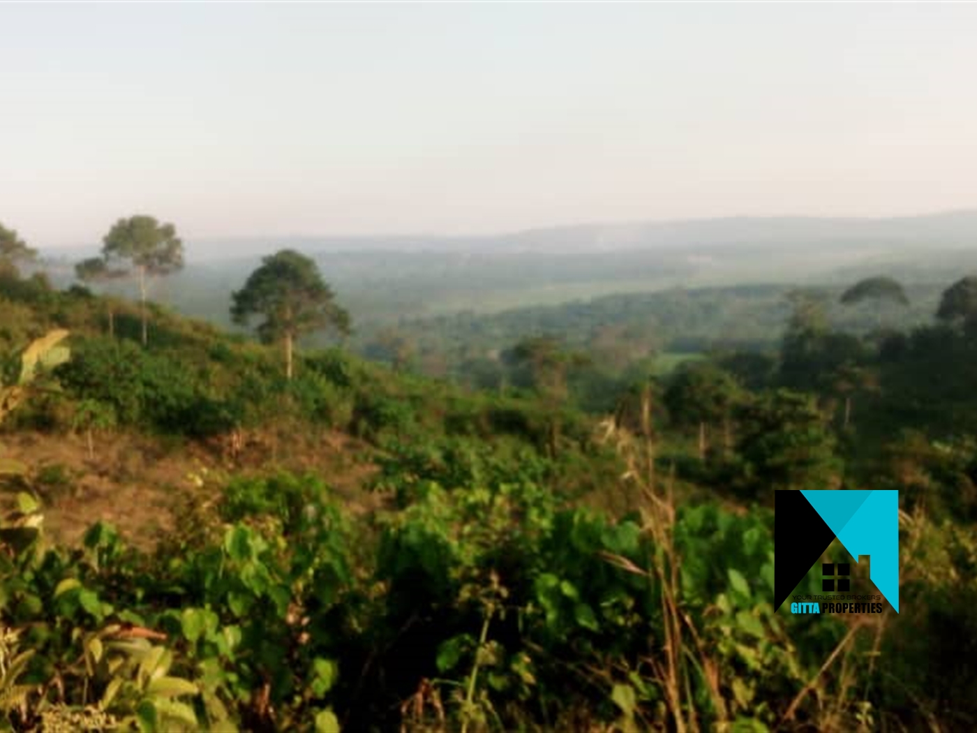 Agricultural Land for sale in Nkokonjeru Mukono