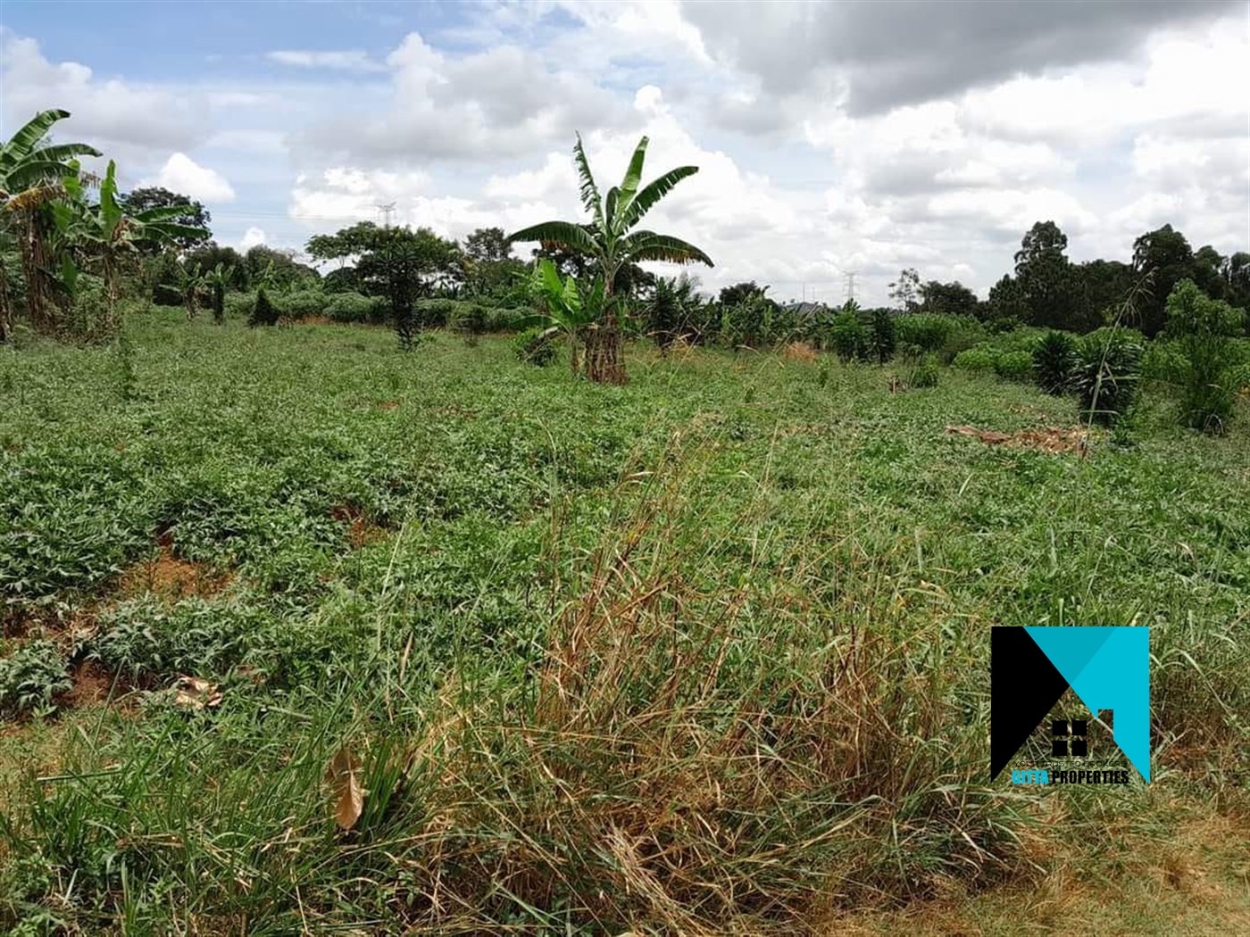 Residential Land for sale in Sonde Mukono