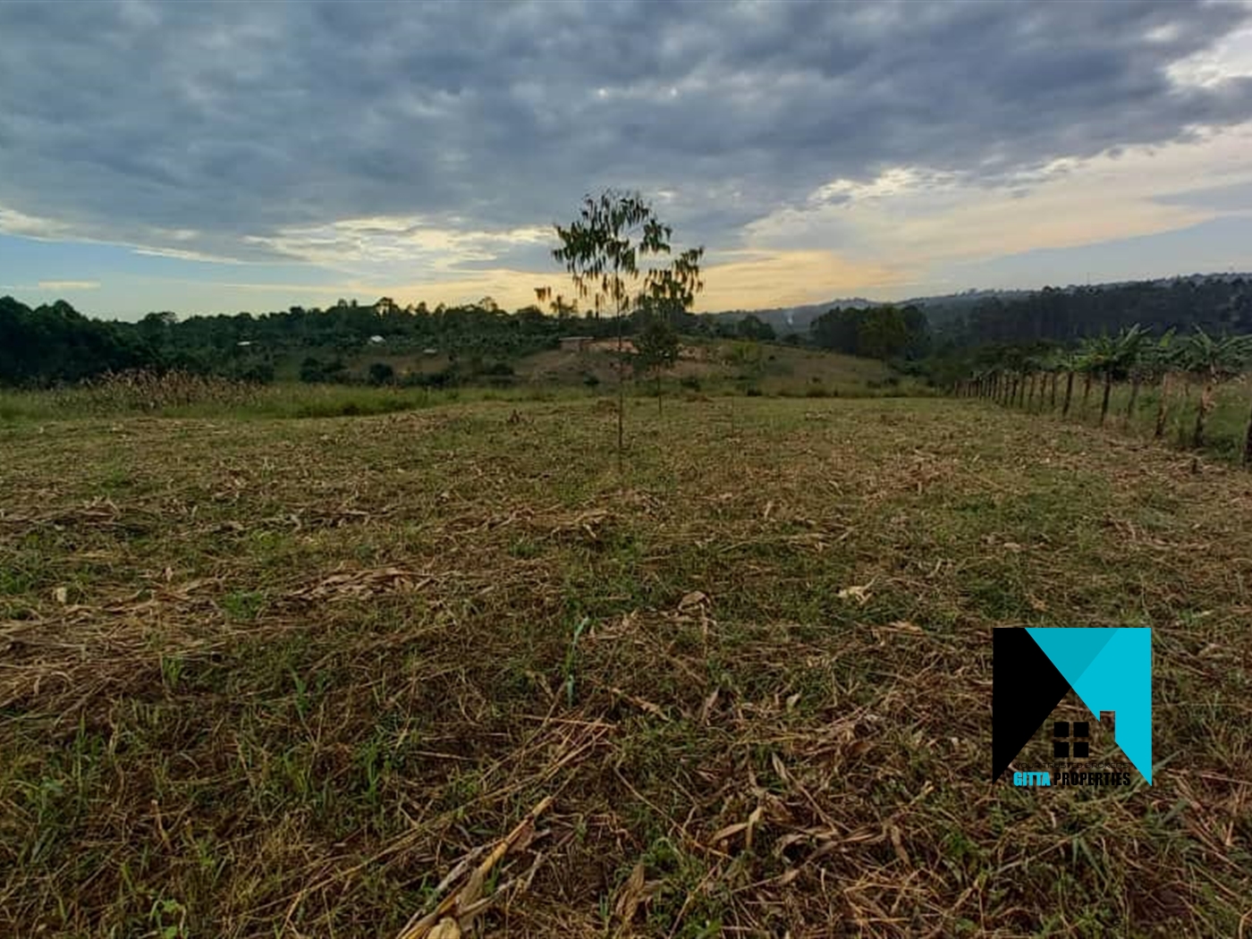 Agricultural Land for sale in Bombo Luweero