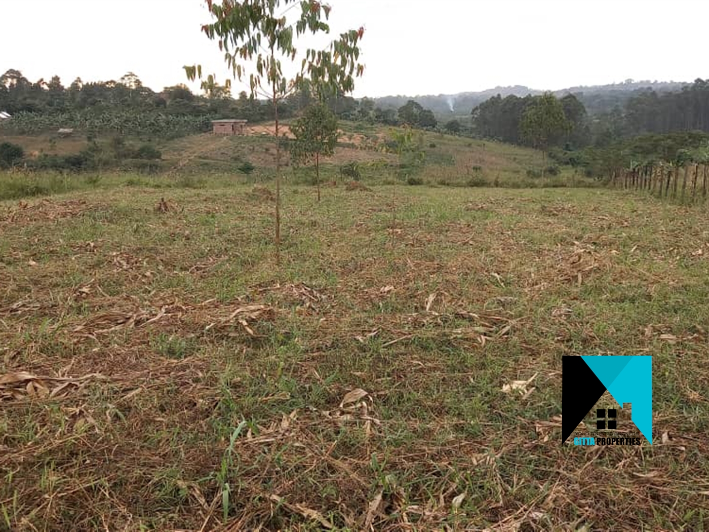 Agricultural Land for sale in Bombo Luweero