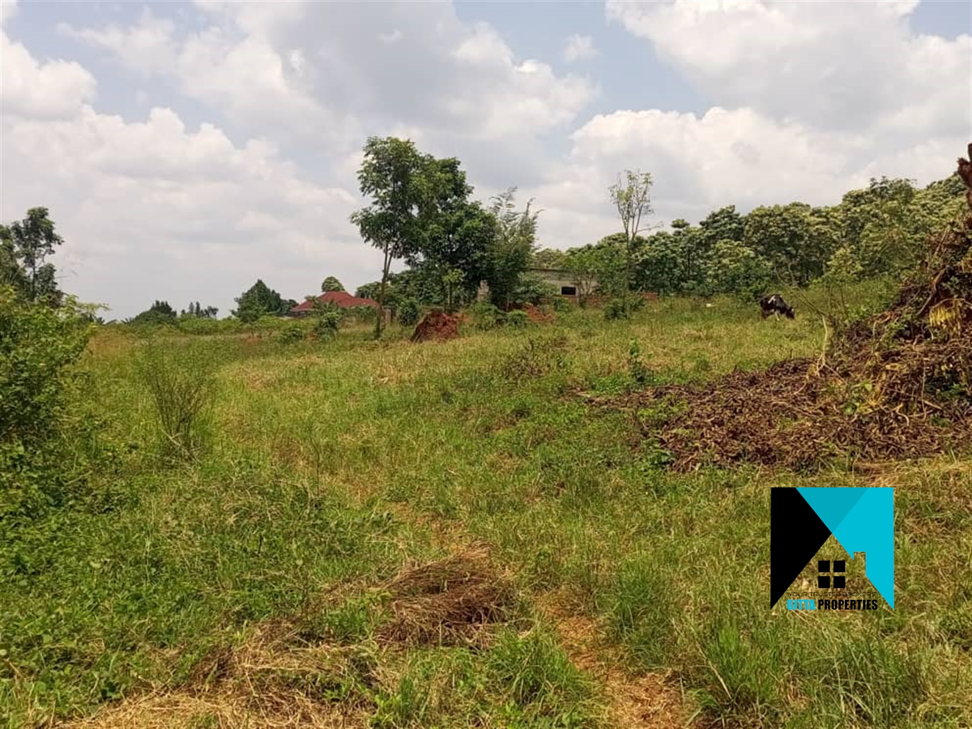 Residential Land for sale in Kiwenda Wakiso