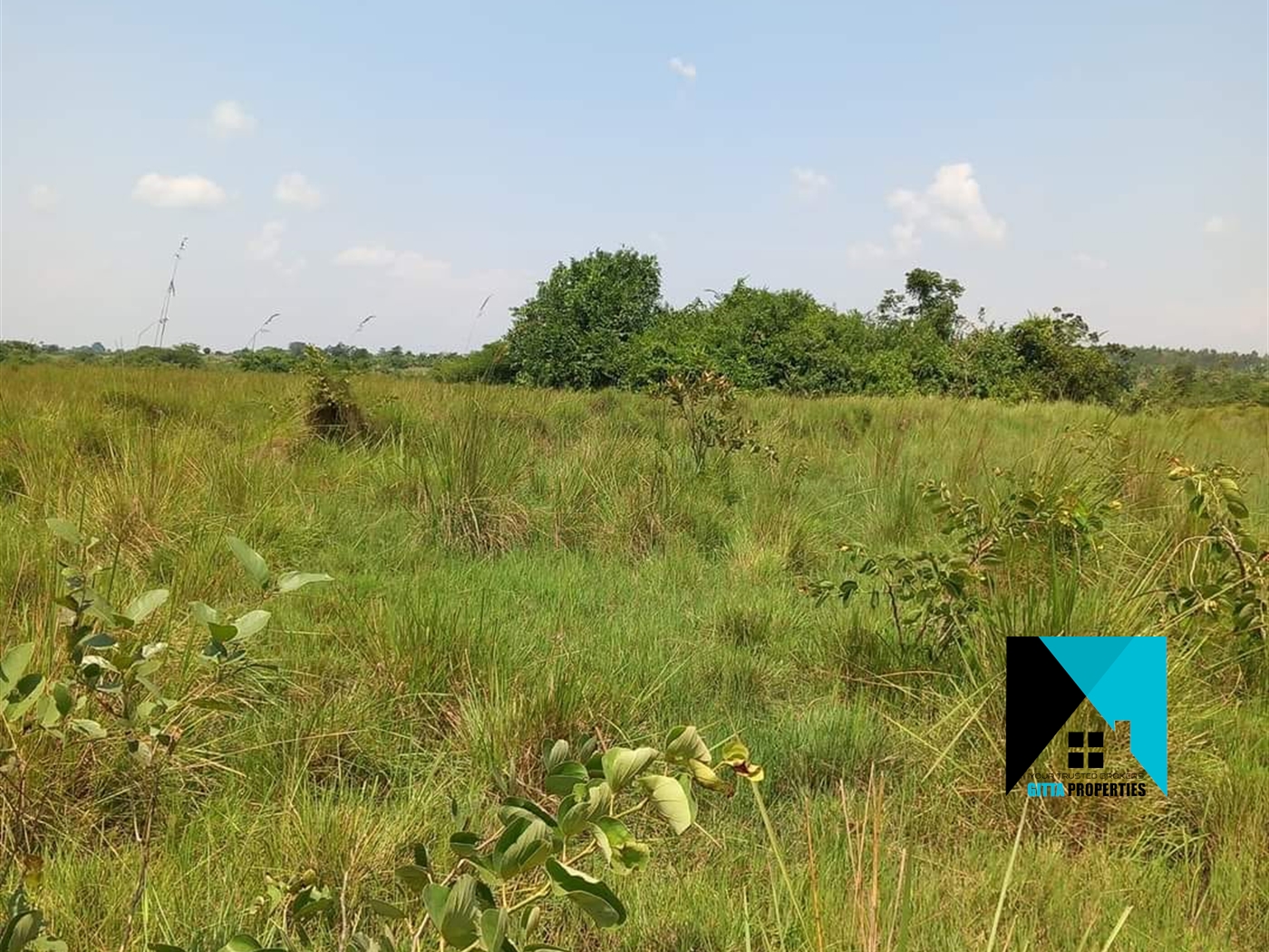 Agricultural Land for sale in Kikyuusa Luweero