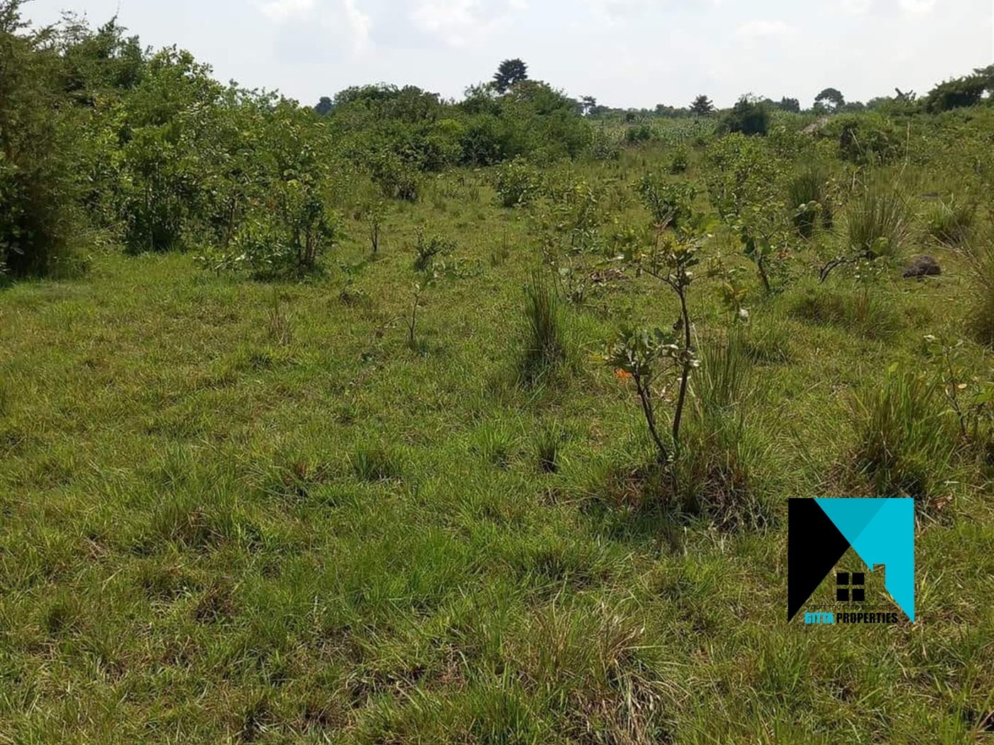 Agricultural Land for sale in Kikyuusa Luweero