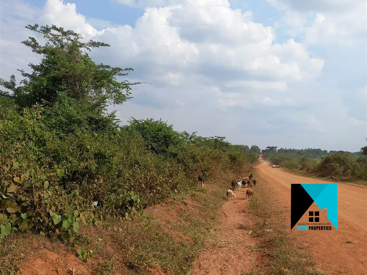 Agricultural Land for sale in Kikyuusa Luweero