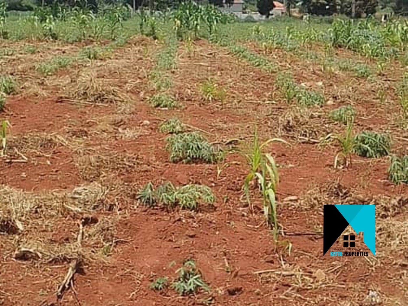 Residential Land for sale in Bwelengakawuku Wakiso