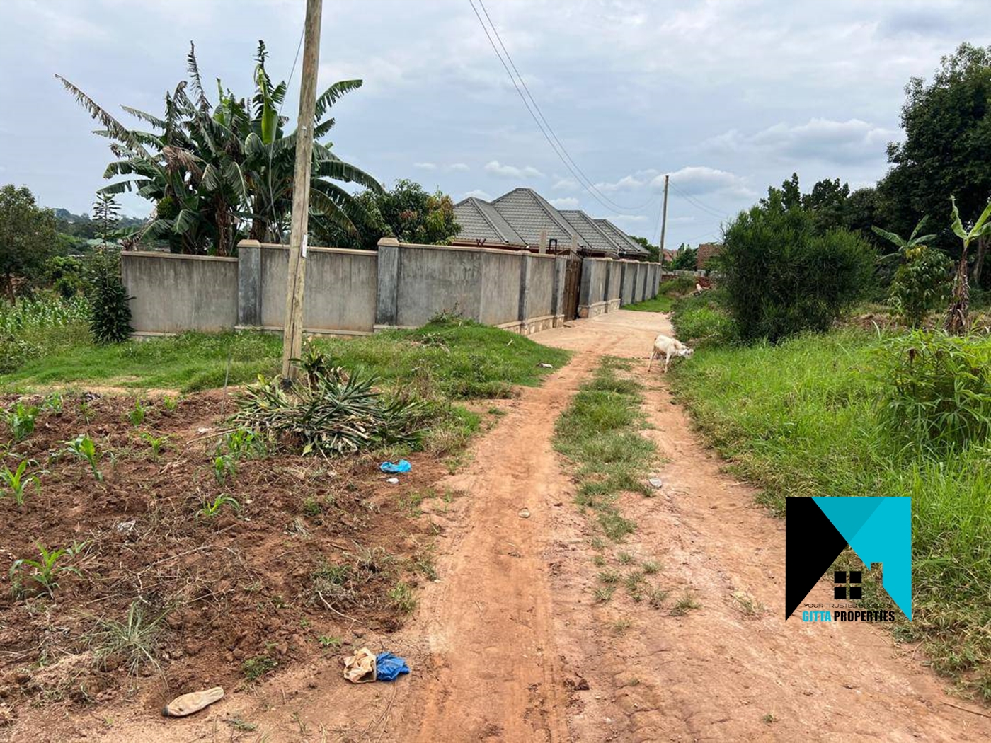 Residential Land for sale in Gayaza Wakiso