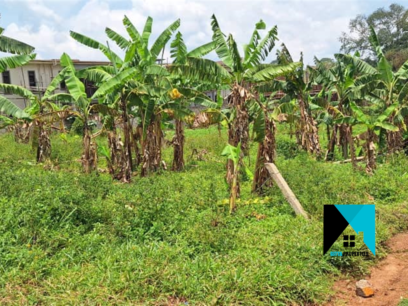 Residential Land for sale in Kiramulawa Wakiso