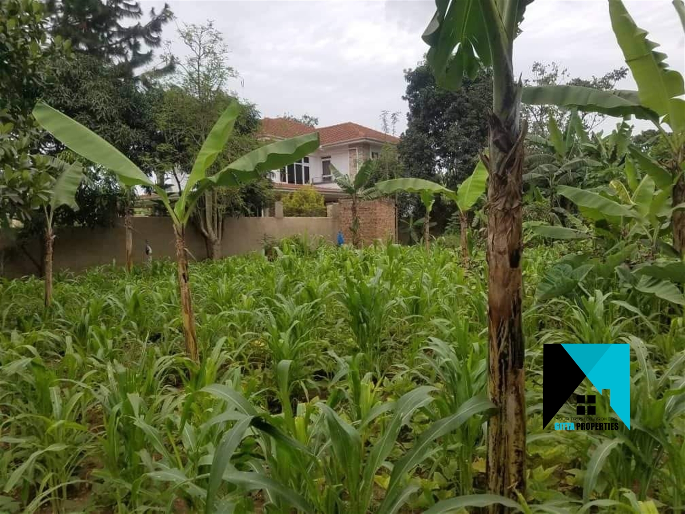 Residential Land for sale in Kitetikaa Wakiso