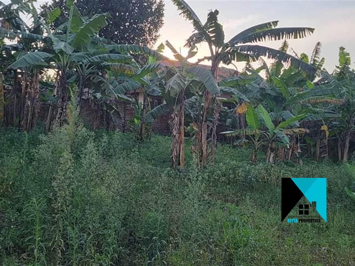 Residential Land for sale in Kiramulawa Wakiso