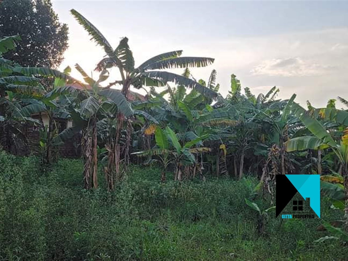 Residential Land for sale in Kiramulawa Wakiso